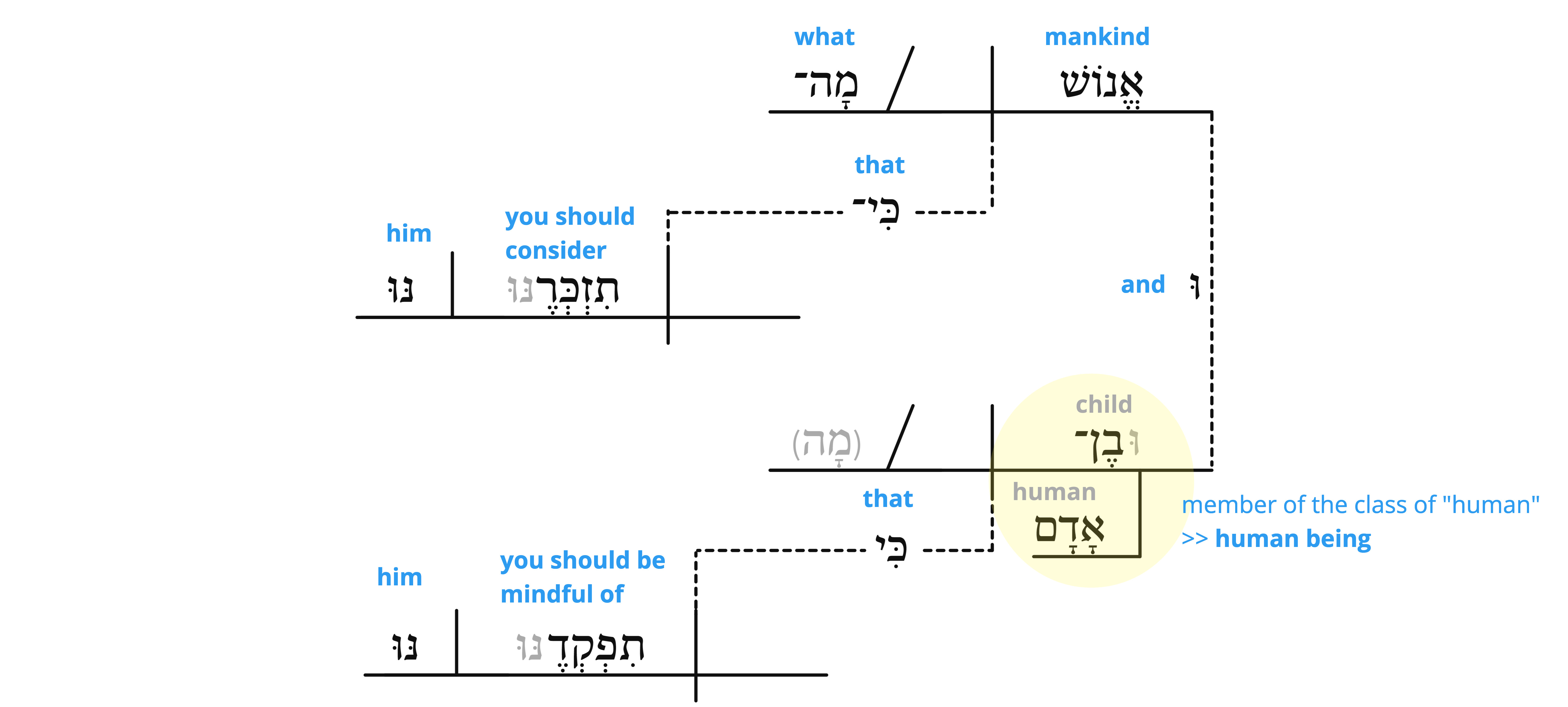 Psalm 8 - v.5 semantics.jpg