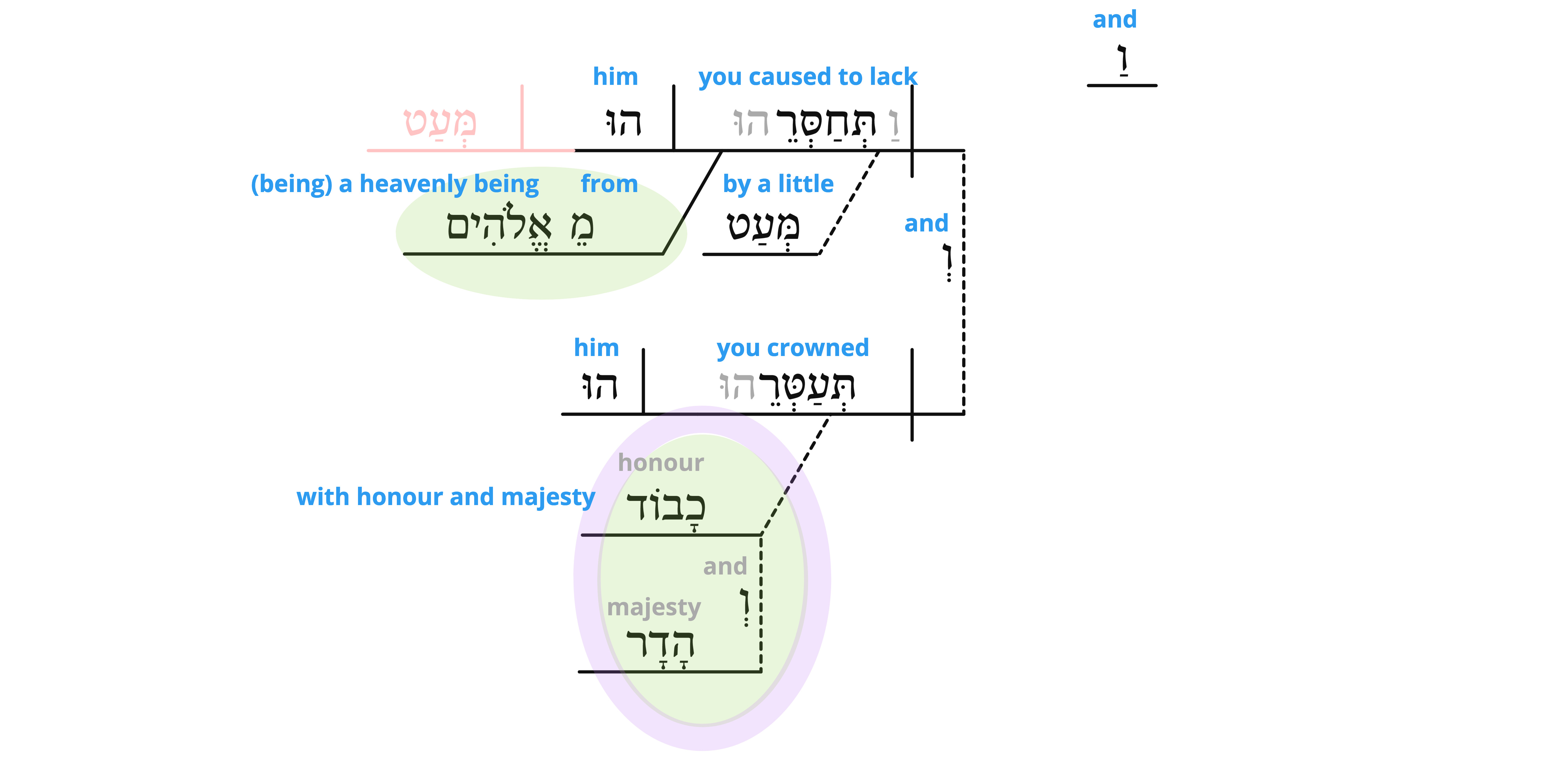 Psalm 8 - v.6 semantics.jpg