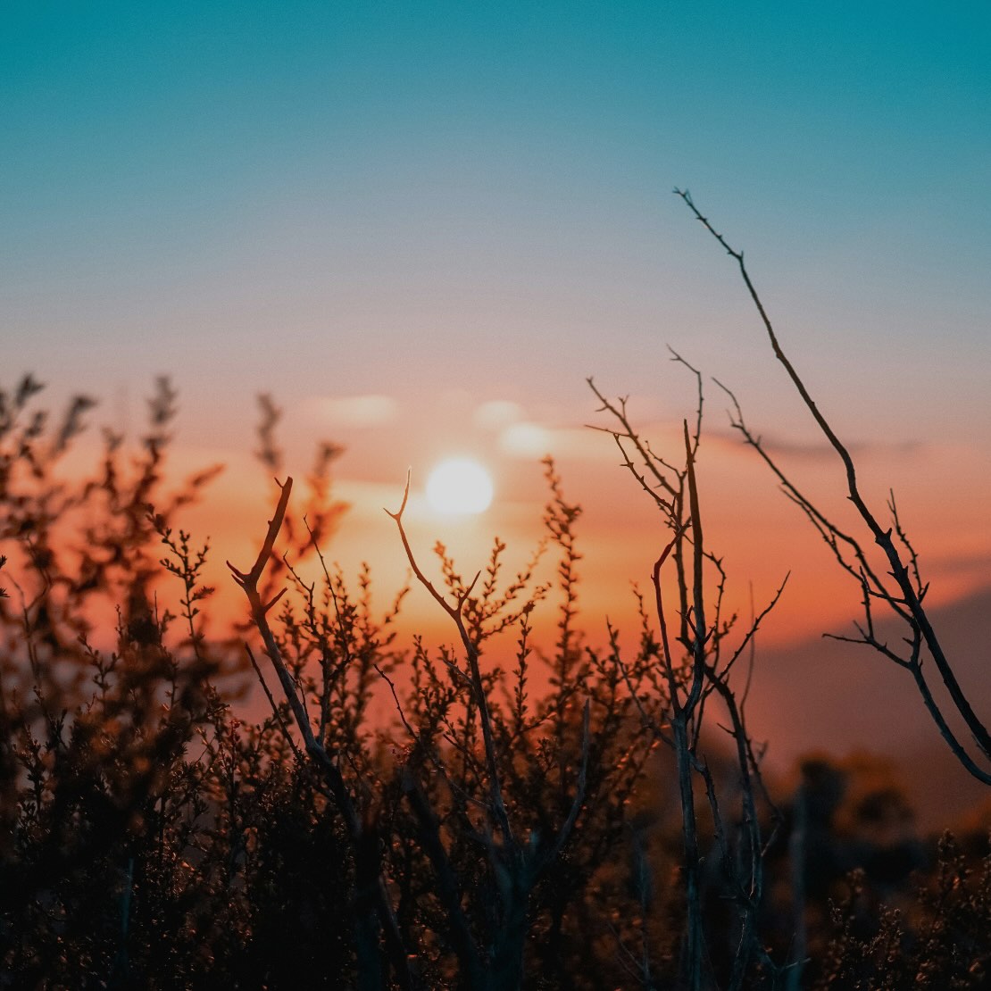 Psalm 112 banner image.jpg