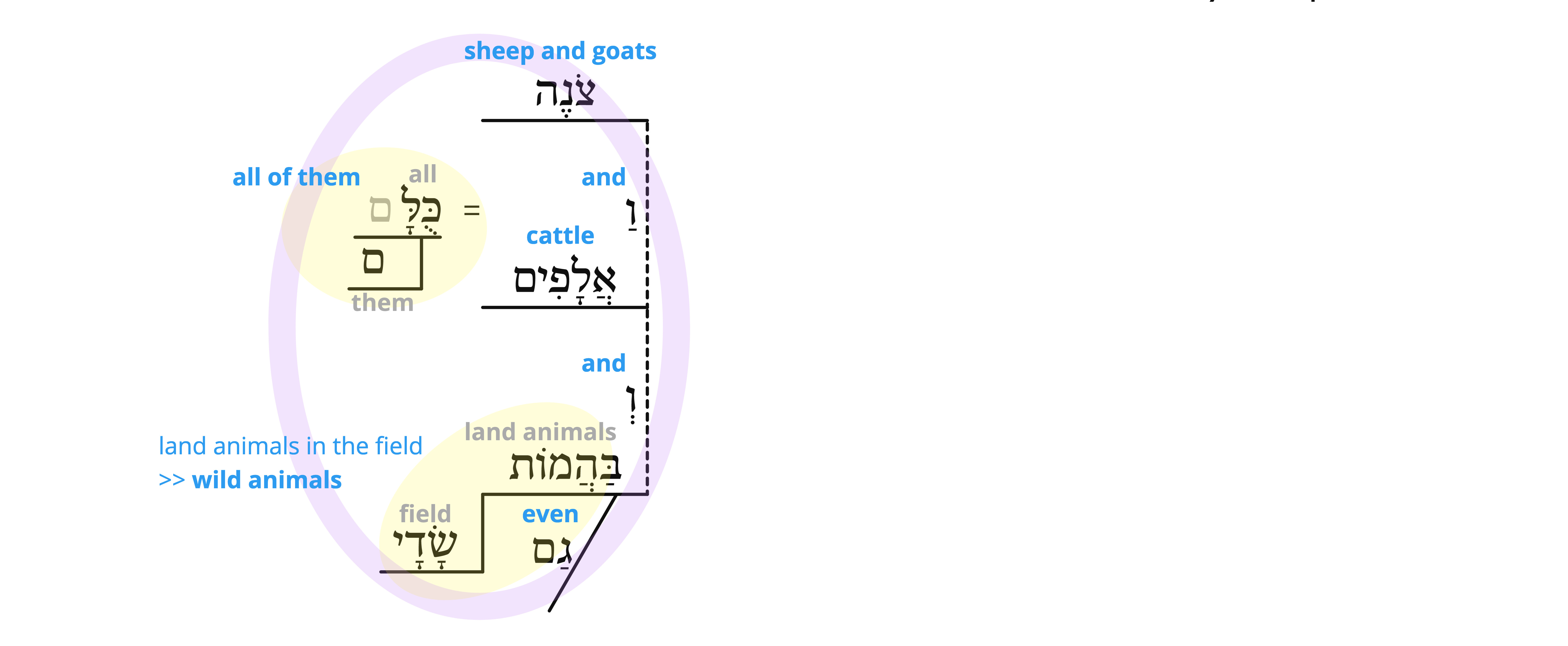 Psalm 8 - v.8 semantics.jpg