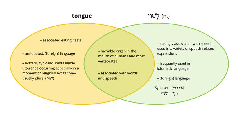 Lashon - tongue.jpg