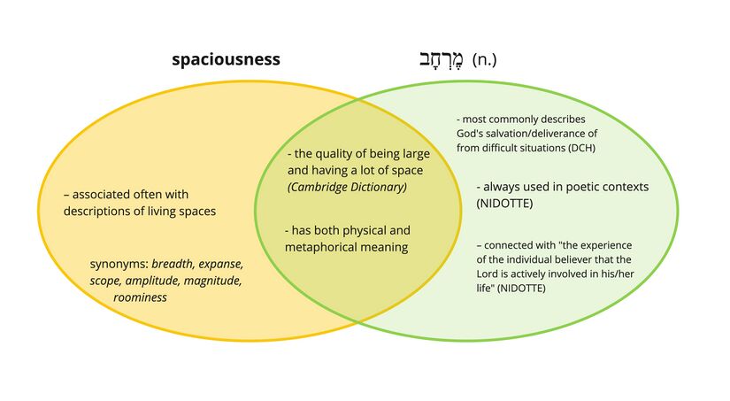 Merhav - spaciousness.jpg