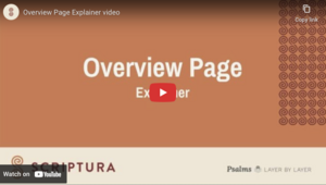 Overview video thumb.png