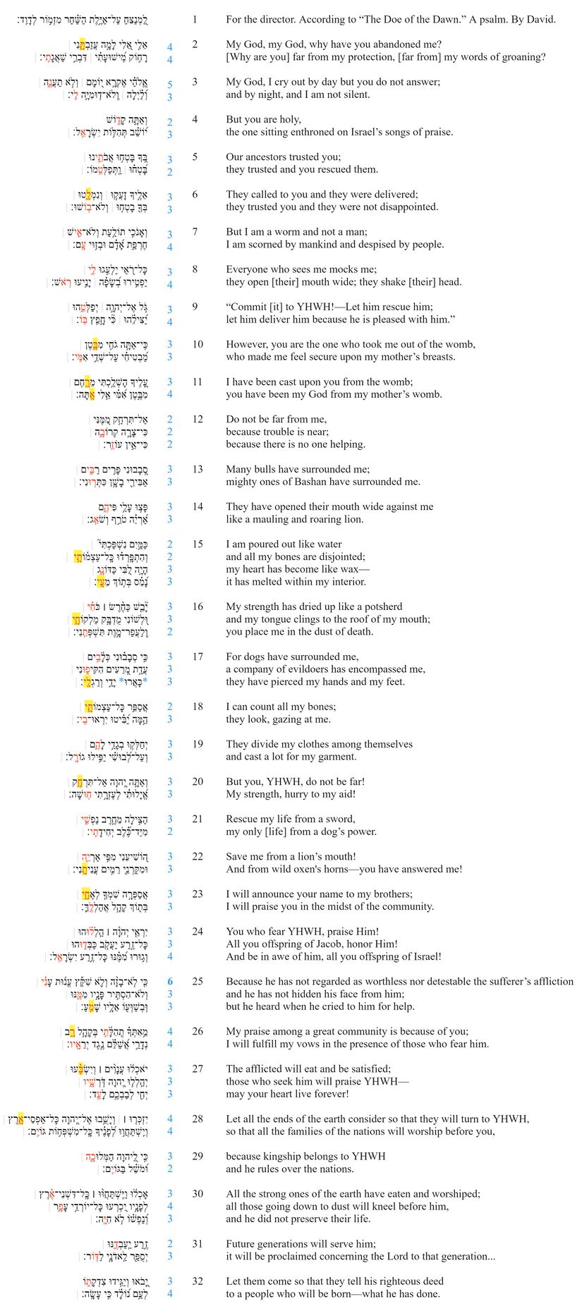 Psalm 022 - Line division.jpg