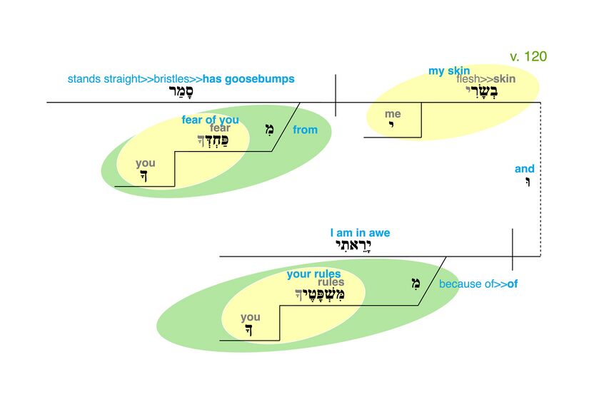 Psalm 119 - Grammatical Diagram v. 120.jpg