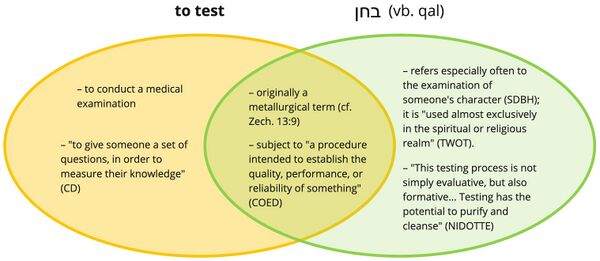 img-class=fluid