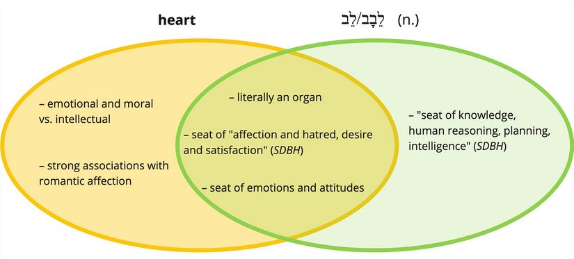 Psalm 17 - Lv - heart.jpg