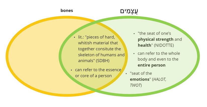 Psalm 6 - bones.jpg