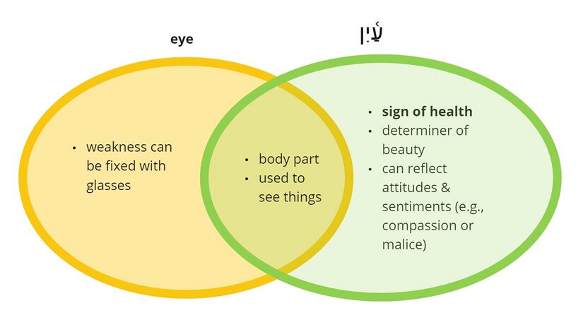 Psalm 6 - eye.jpg