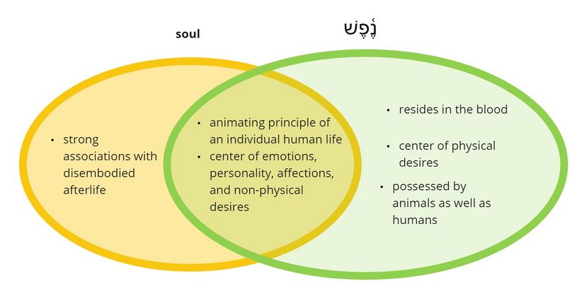 Psalm 6 - soul.jpg