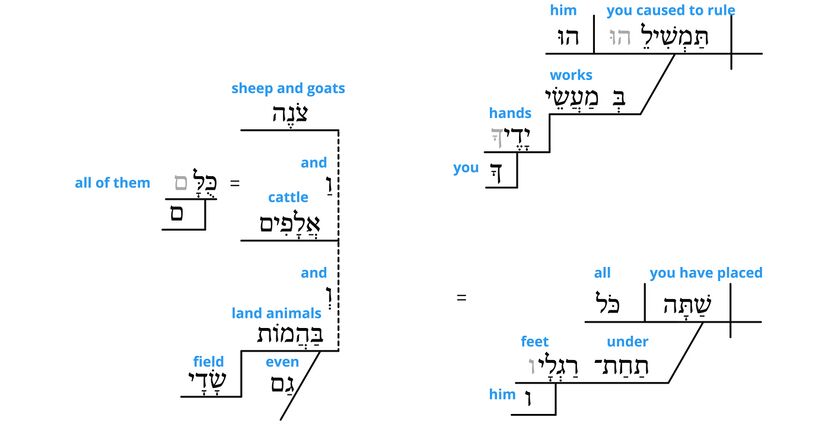 Psalm 8 - grammar v.7-8.jpg