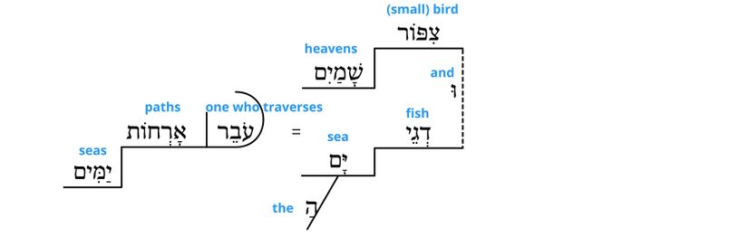 Psalm 8 - grammar v.9.jpg