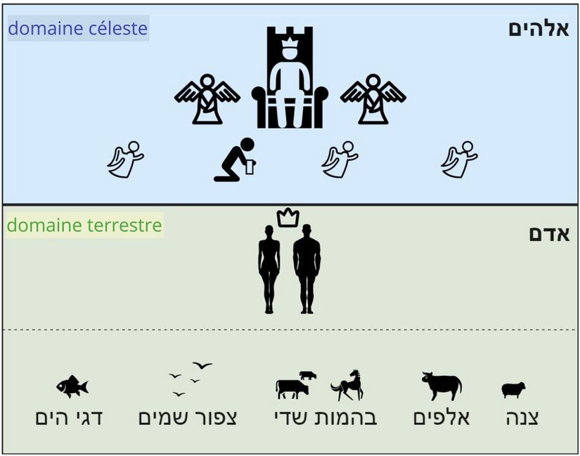 Psaume 008 - Elohim en Ps. 8 6.jpg