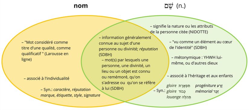 Psaume 008 - Shem.jpg