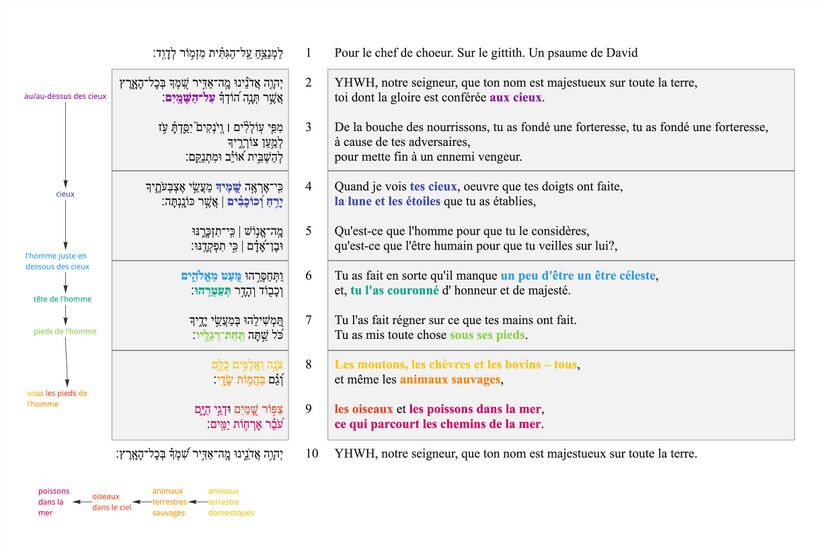 Psaume 008 - Trait poétique De haut en bas.jpg